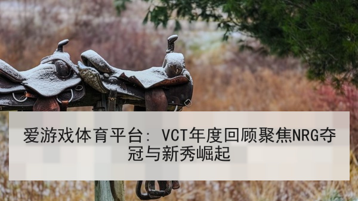 爱游戏体育平台: VCT年度回顾聚焦NRG夺冠与新秀崛起 爱游戏体育平台: VCT年度回顾聚焦NRG夺冠与新秀崛起