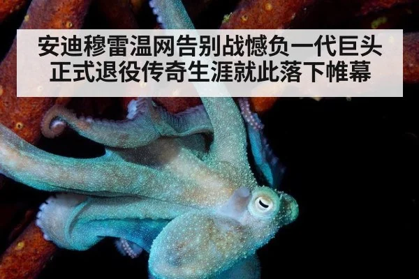 安迪穆雷温网告别战憾负一代巨头 正式退役传奇生涯就此落下帷幕
